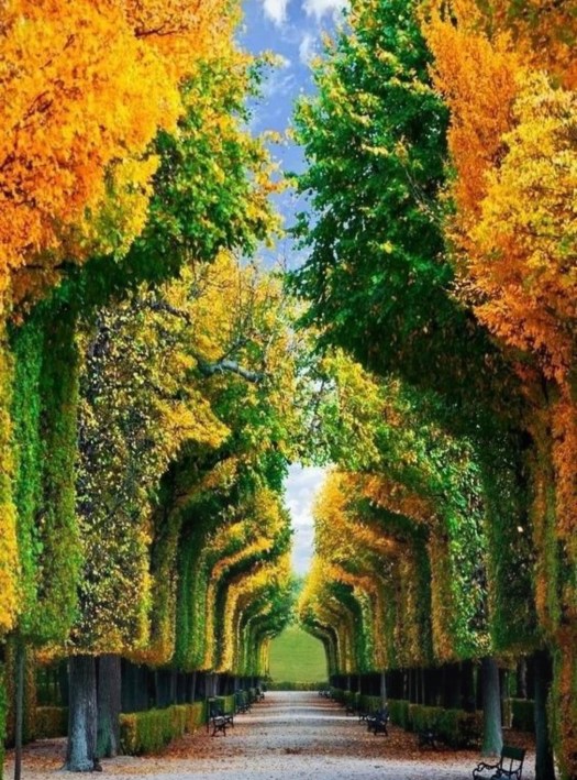 AB1C76C5-6CE6-4482-A2FE-C314CEC017EB